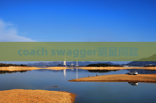 coach swagger明星同款